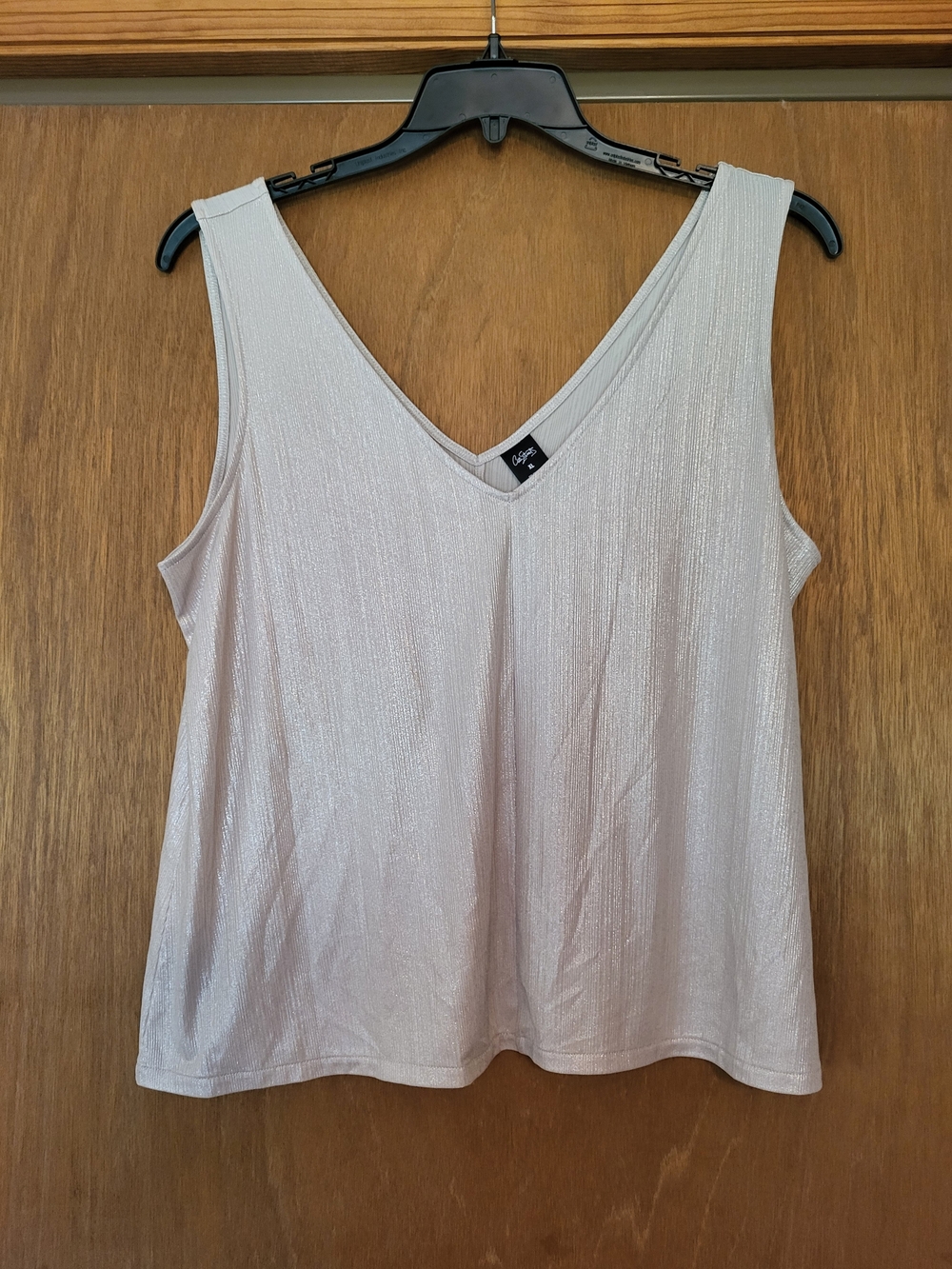 City Streets Shimmery V-Neck Sleeveless Blouse- Light Blush, XL